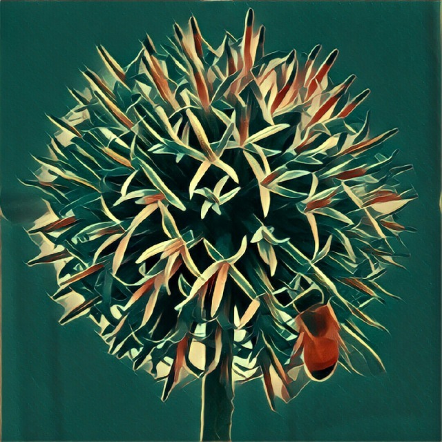Greenish thistle flower